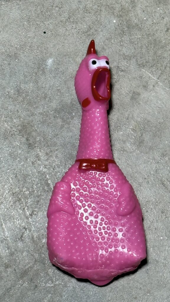A pink rubber chicken, successfully truncated